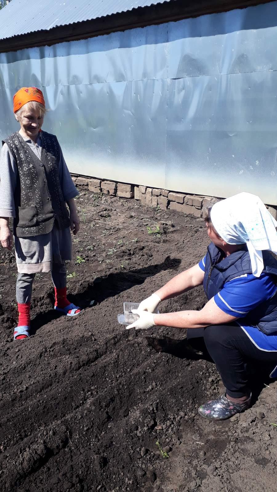 ГБУ «Комплексный центр социального обслуживания населения городского округа  город Выкса» - Весна – огородная пора.